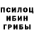 Галлюциногенные грибы мицелий Baldito Bautista