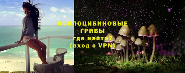 мяу мяу мука Белокуриха