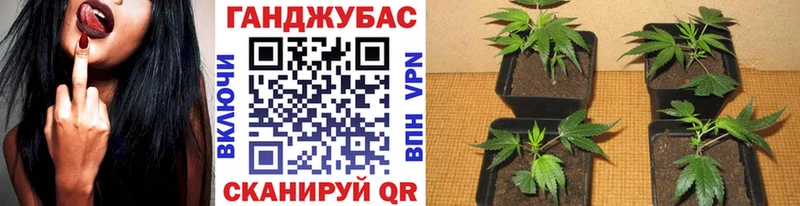 Бошки Шишки индика  наркотики  Белореченск 